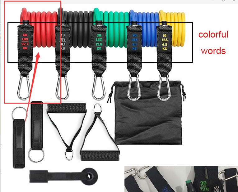 Fitness Rally Elastic Rope Resistance Band – Heavy Duty Exercise & Strength Training Band