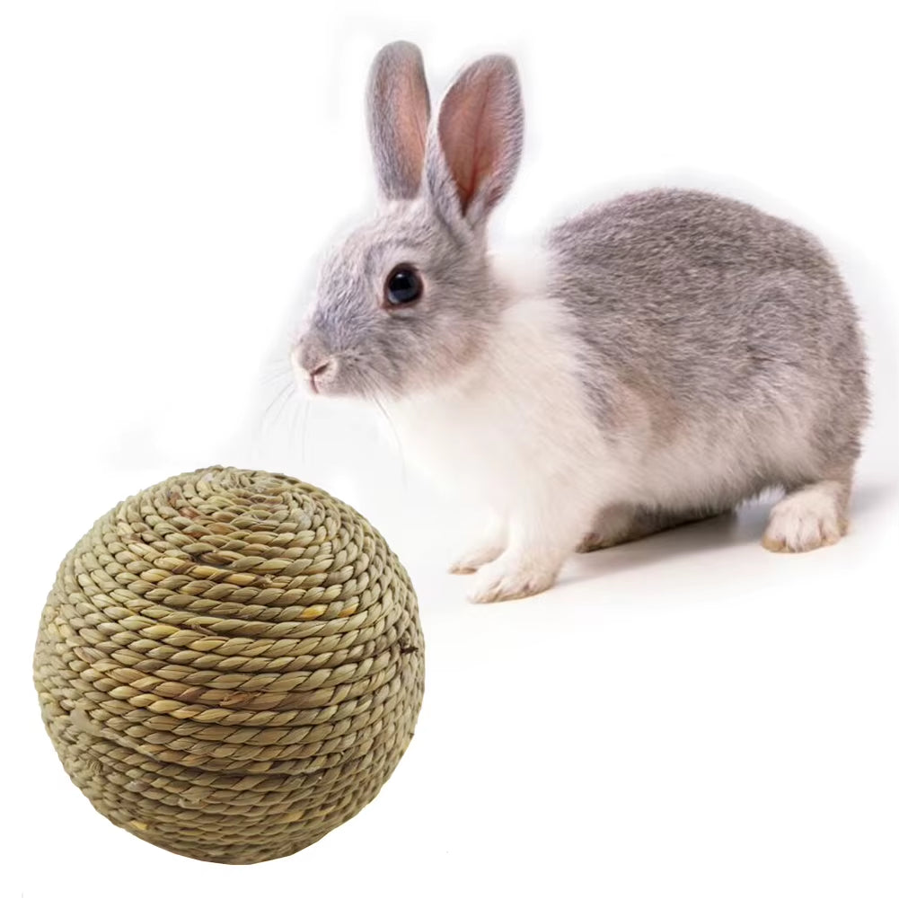 🐾 Small Pet Chew Toy | Fun & Safe for Cats, Rabbits & Rodents
