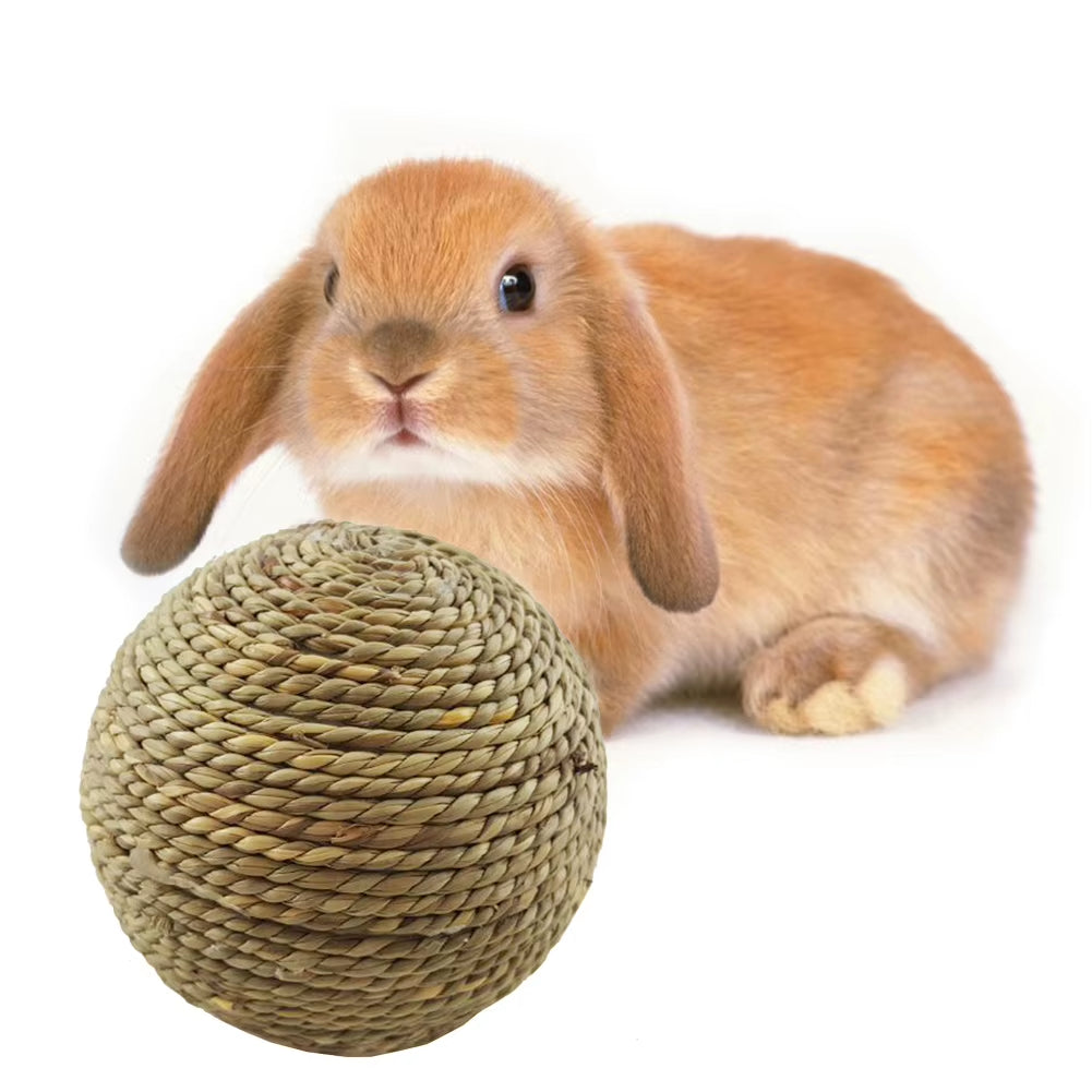 🐾 Small Pet Chew Toy | Fun & Safe for Cats, Rabbits & Rodents