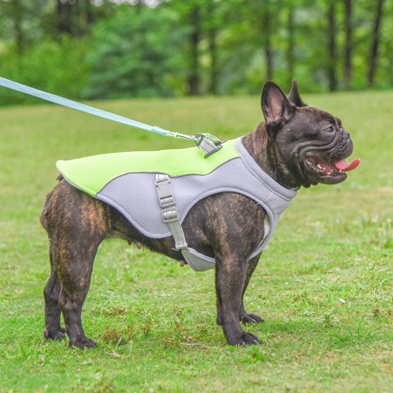 Summer Dog Cooling Vest – Breathable Heat-Resistant Sun-Proof Clothes for Small & Large Dogs